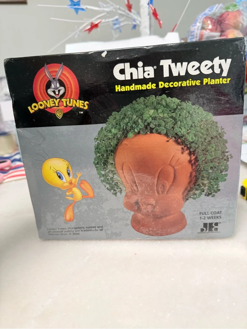 Warner Bros. Chia Tweety Decorative Planter - Yellow & Orange Accents